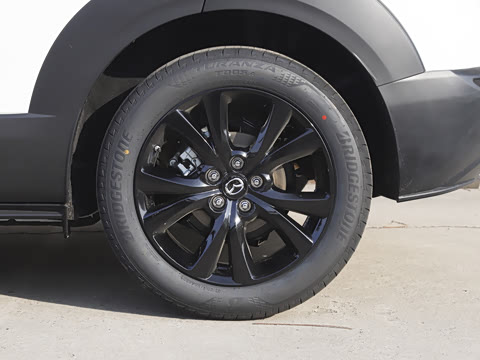 2025�� 2.0L �Զ�������