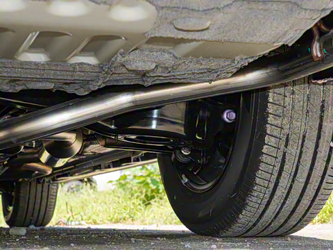 2026�� 2.5L�춯 ������