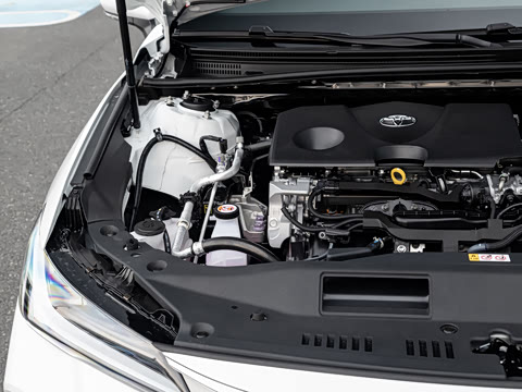 2026�� ˫�� 2.0L ������