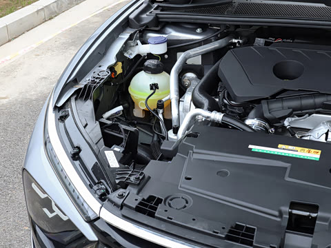 2026�� 1.6T �ò���