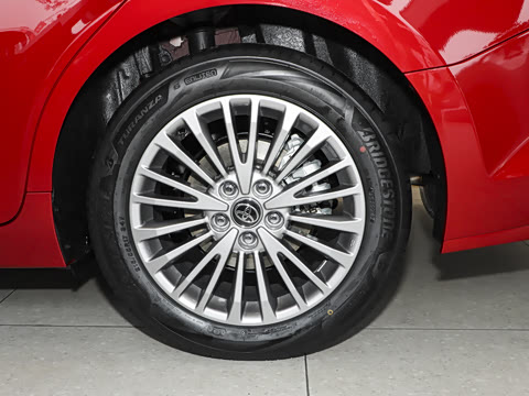 2026�� ˫�� 2.0HGVP ������