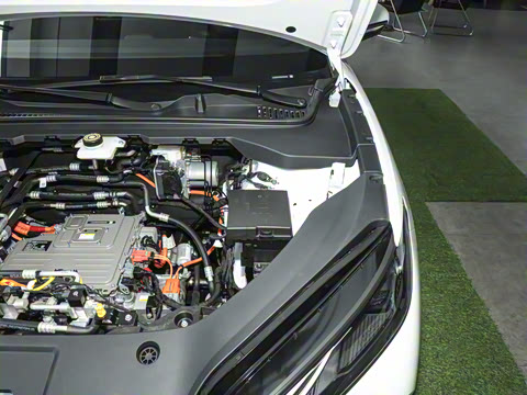 2025�� 520���г��а�