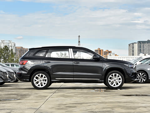 2026�� 280TSI �Զ��ȷ��