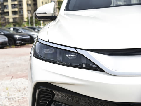 2026�� DM-i 220KM��Խ��