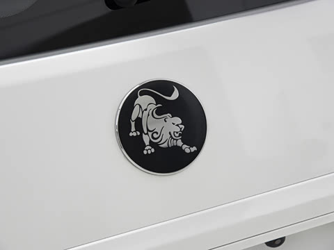 2025�� 2.0L �ֶ���Ӣ��CNG 7��