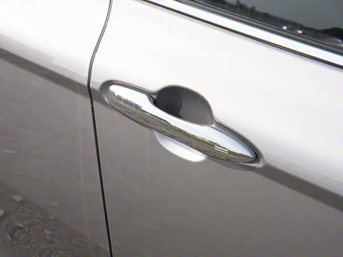 2026�� 2.0GVP ������