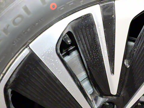 2025�� ������