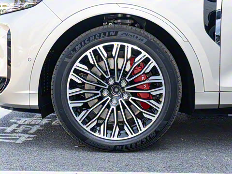 2025�� FREE+ ����Ǭ����