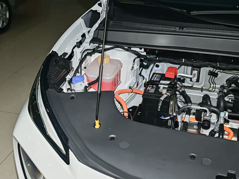 2025�� 530�캽��