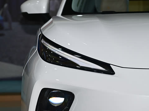 2025�� 530�캽��