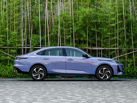 2026�� 1.5L �������� ������