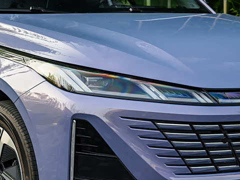 2026�� 1.5L �������� ������