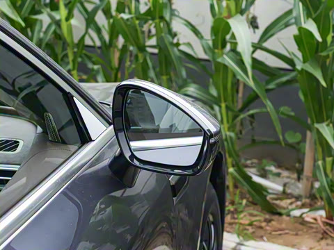 2025�� 260��������������