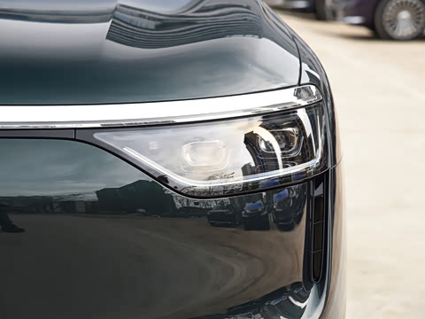 2025�� ���� Max+ ������������ 