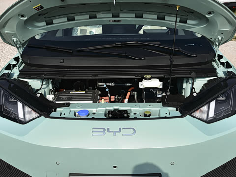2026�� 305km ���ɰ�