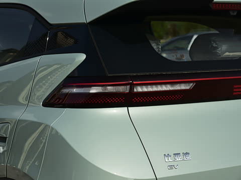 2026�� 305km ���ɰ�