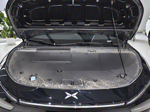 2025�� �������� Max �콢��