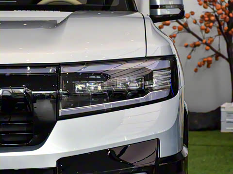 2025�� �����콢�� 5��