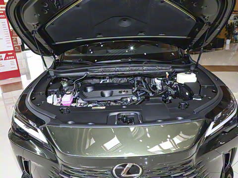 2025�� 350h ����������