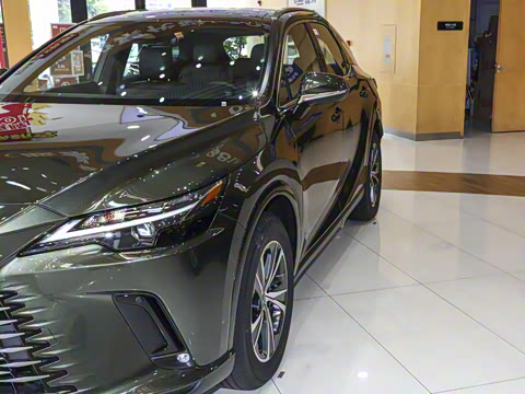 2025�� 350h ����������