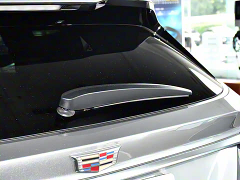 2023�� 25T ������