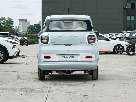 2026�� 222km ������