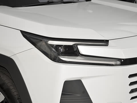 2026�� 2.0L ���ܵ��˫�� PRO+