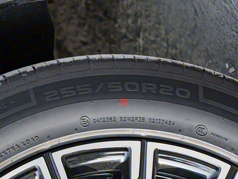 2025�� 230km ����̽����