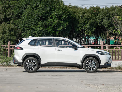 2026�� 2.0L ���ܵ��˫�� ������