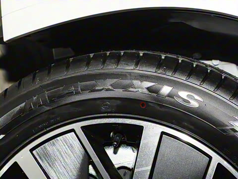 2025�� Ǭ�� Max 6��