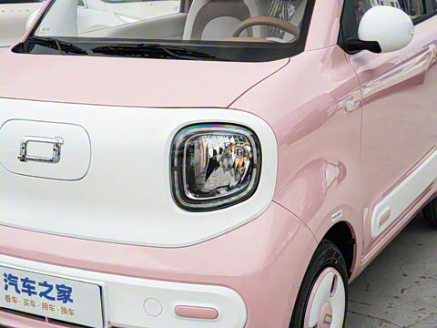 2026�� 222km �Ų���