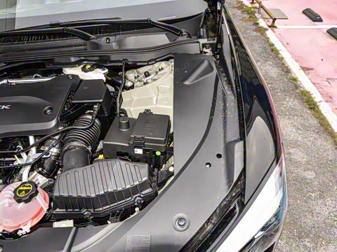 2025�� ������