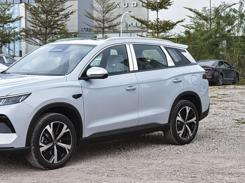 2026�� DM-i 220KM��Խ��