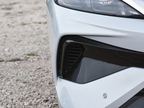 2026�� DM-i 220KM��Խ��