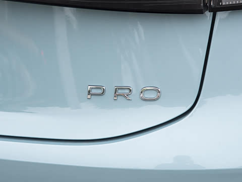 2026�� Pro 300TSI �ǿ���ҫ��