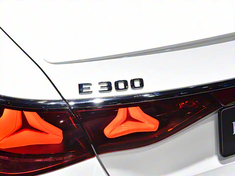 2026�� E 300 �������˶���