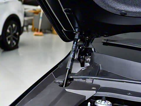 2026�� 121km ������ 7��