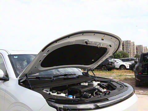 2026�� 121km ������ 5��