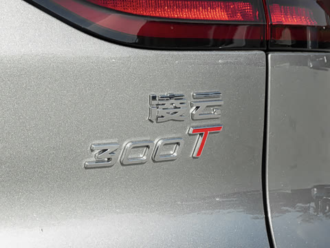 2025�� 300T ������ҹ��