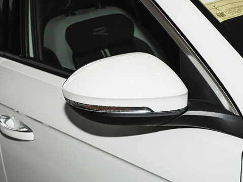 2026�� 300TSI DSG���������