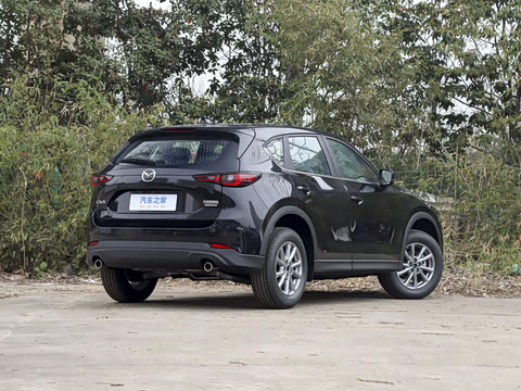 2025�� 2.0L �Զ�����������