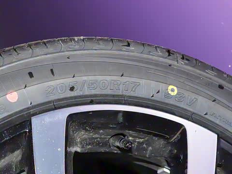 2026�� 530 ��Ȥ��