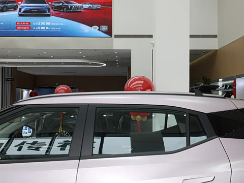 2026�� Ӱ�� 270T ������