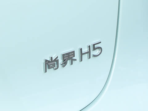 2025�� ���� Max