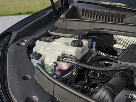 2026�� ���� �����