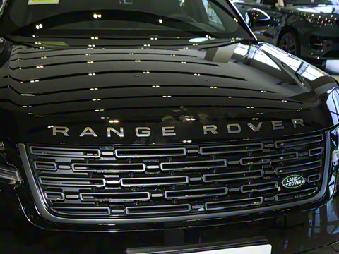 2026�� 250PS Dynamic SE