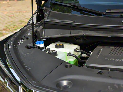 2026�� ��ʦ �����״��