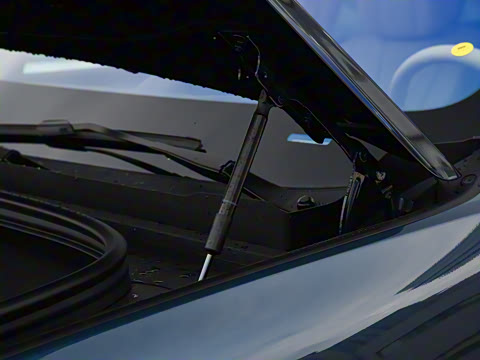 2026�� ���� Max�������� 5��