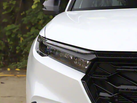 2026�� ȫ��30����ҫ�� 2.0L e:HEV �������