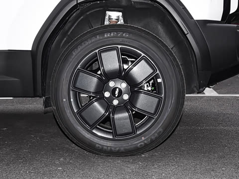 2025�� 215Զ�а�